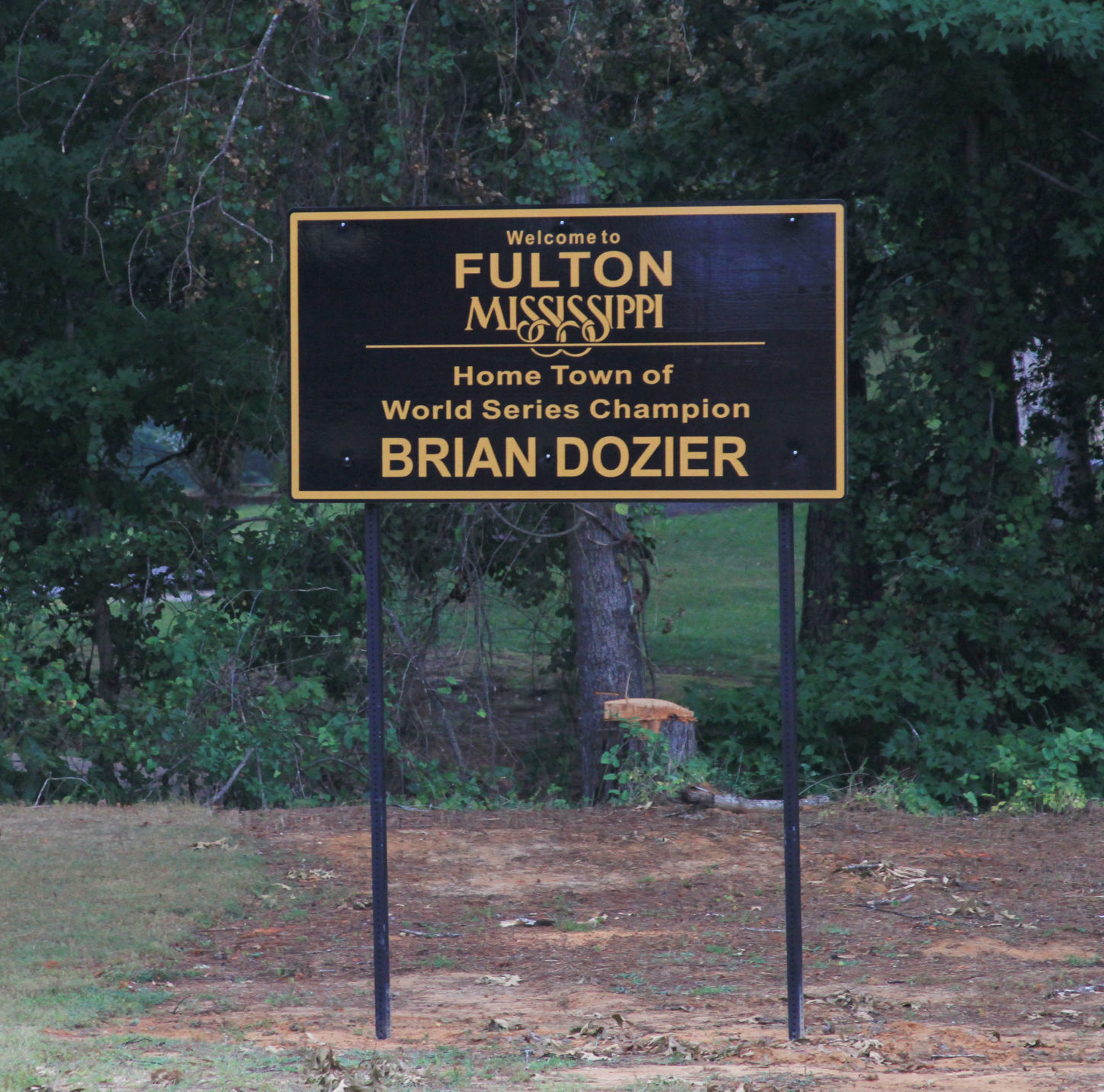 "Home Town of Brian Dozier" sign finds a home